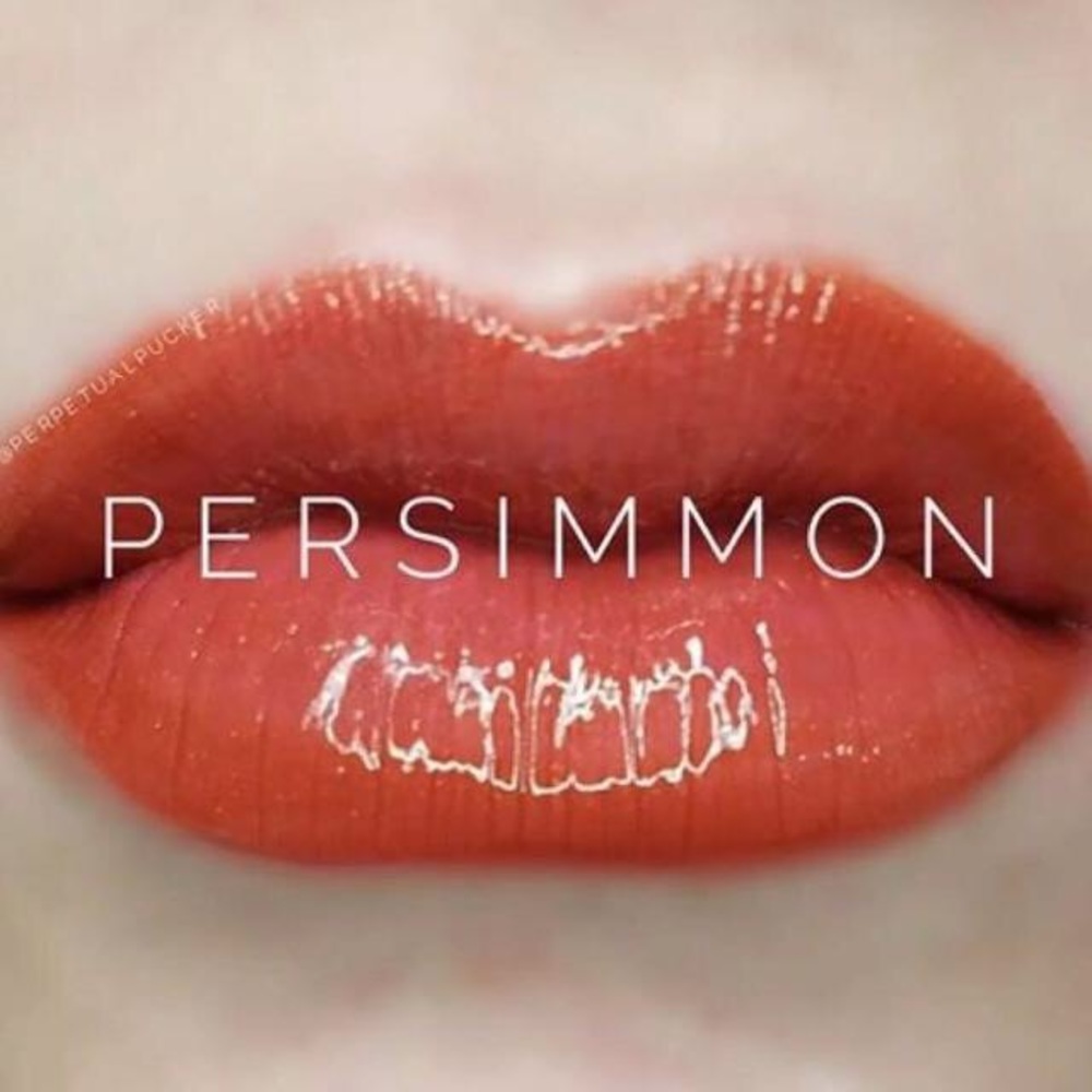 IRVINE FORMULA —> Persimmon LipSense